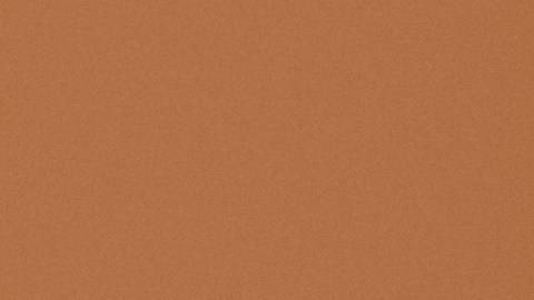 Promueve el crecimiento de tu cabello con los consejos adecuados.