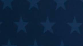 Elle Fanning destacó con uno de los mejores looks en los Critics Choice Awards.