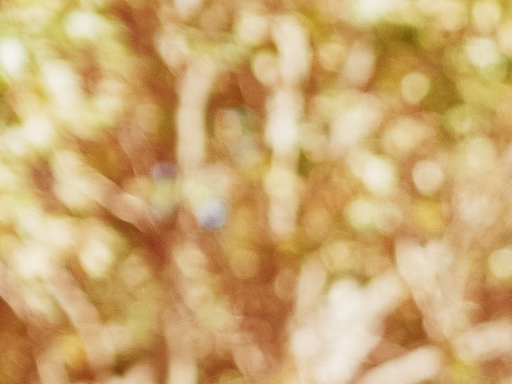 Tu estillo puede identificarse más fácil si usas los accesorios adecuados.