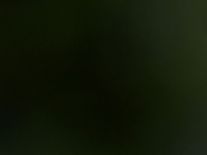 Kate Middleton demostró cómo llevar los colores de la temporada en un look elegante.