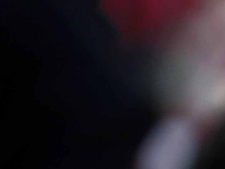 Kendall Jenner vuelve a usar los Adidas Superstar en la nueva campaña de Adidas.