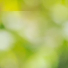 Este producto, que a menudo se confunde con el agua termal simple, es en realidad un cóctel de activos botánicos y tecnológicos.