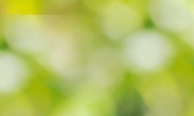 Este producto, que a menudo se confunde con el agua termal simple, es en realidad un cóctel de activos botánicos y tecnológicos.