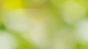 Este producto, que a menudo se confunde con el agua termal simple, es en realidad un cóctel de activos botánicos y tecnológicos.