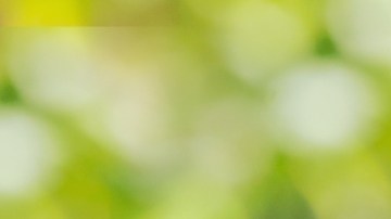 Este producto, que a menudo se confunde con el agua termal simple, es en realidad un cóctel de activos botánicos y tecnológicos.