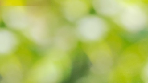 Este producto, que a menudo se confunde con el agua termal simple, es en realidad un cóctel de activos botánicos y tecnológicos.