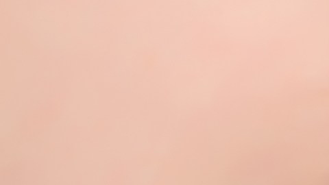 shutterstock_769569835 (1)