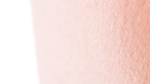 bálsamo labial