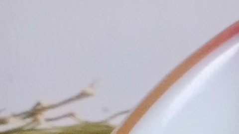 mascarilla arroz