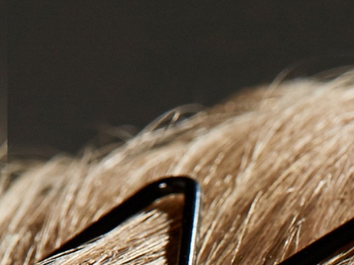 zigzag hairbands