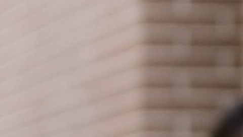 cinturones corset