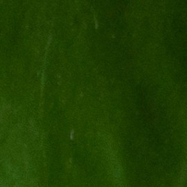 uñas verdes