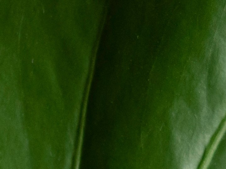 uñas verdes