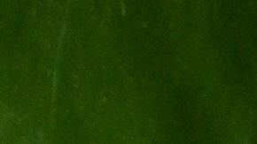 uñas verdes