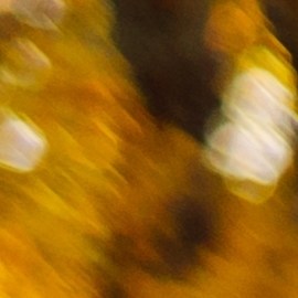 otoño abrigos