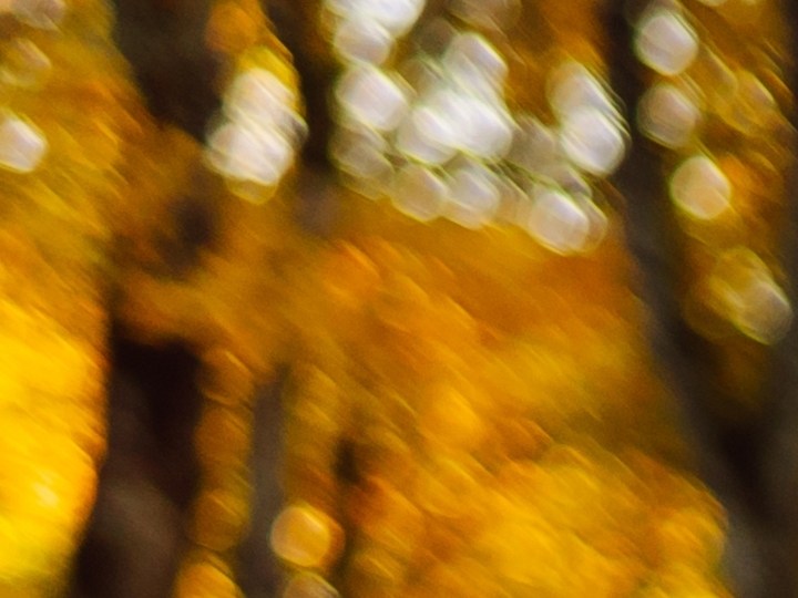 otoño abrigos