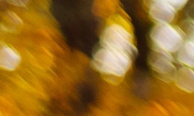 otoño abrigos