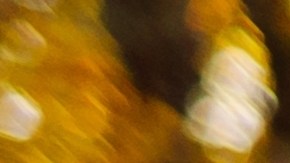 otoño abrigos